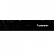 FRANCE TELEVISIONS GROUPE