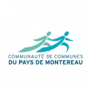 Responsable stratégie eau/assainissement f/h