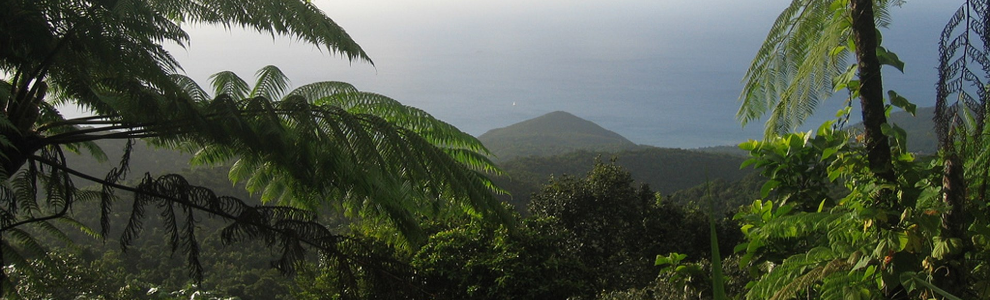 Guadeloupe