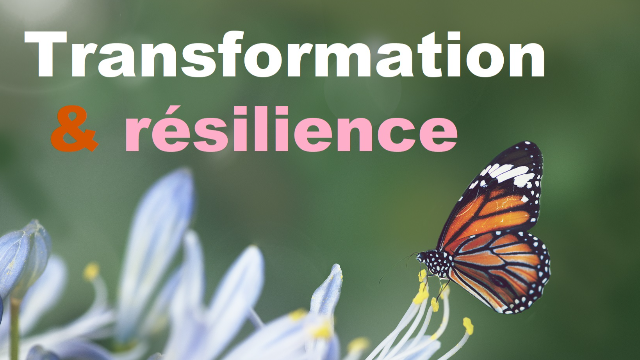 Entreprise, transformation et résilience