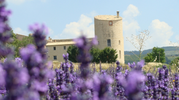 Découvrez le Château de la Gabelle dirigé par Inès Eydoux 