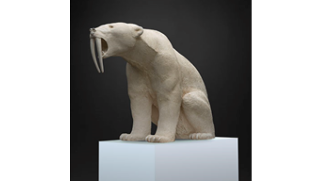 Une exposition interactive de sculpture par Mauro Corda sur le campus de Reims