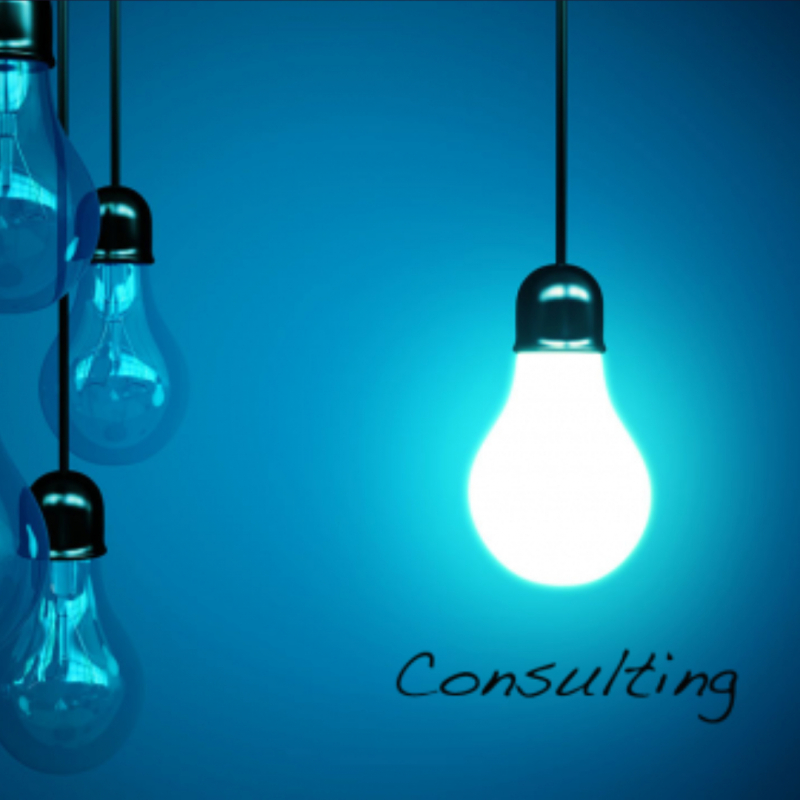 Retour sur : la conférence sur les métiers du consulting du 19 novembre dernier. 