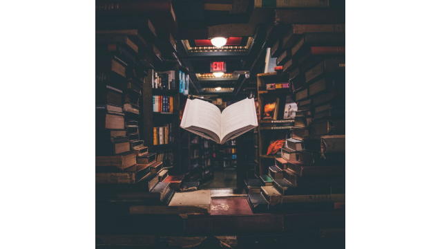 15, place Vendôme, de Tilar Mazzeo