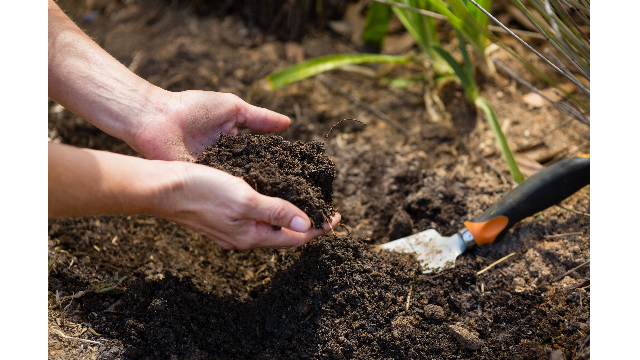 Les clubs Développement Durable et Économie Sociale & Solidaire fusionnent !