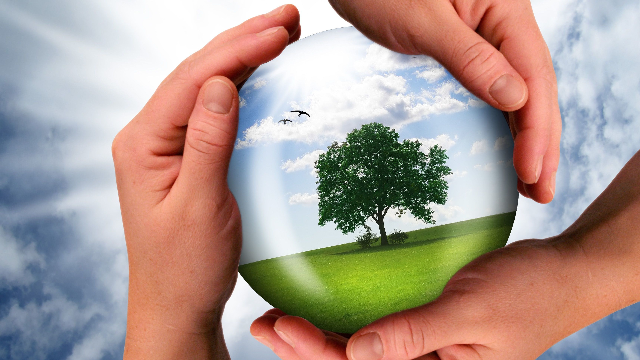 L’innovation au cœur du Business durable 