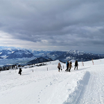 Retour sur l'excursion luge en Suisse Alémanique !